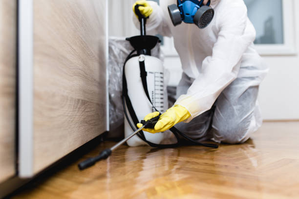 Best Commercial Pest Control Services  in Cedar Springs, MI