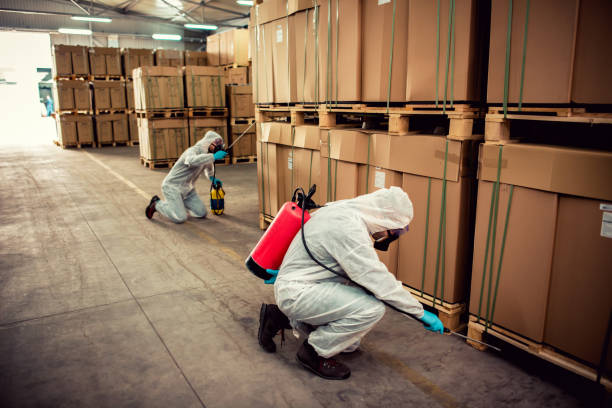 Best Rat Extermination Near Me  in Cedar Springs, MI