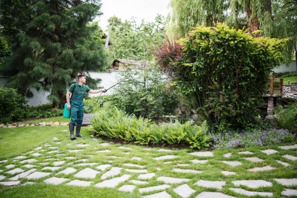 Best Pest Removal Services  in Cedar Springs, MI