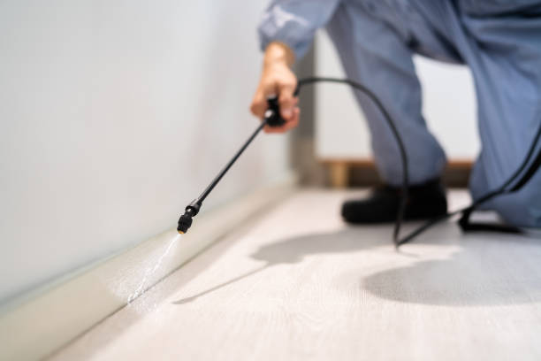 Best Local Pest Control Services  in Cedar Springs, MI