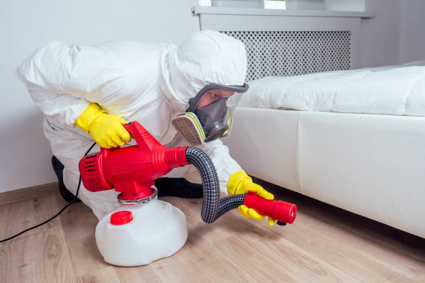 Best Pest Prevention Services  in Cedar Springs, MI
