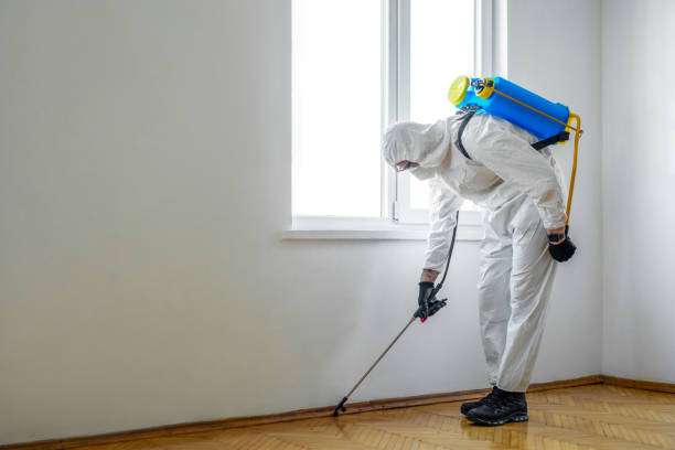 Reliable Cedar Springs, MI Pest Control Solutions