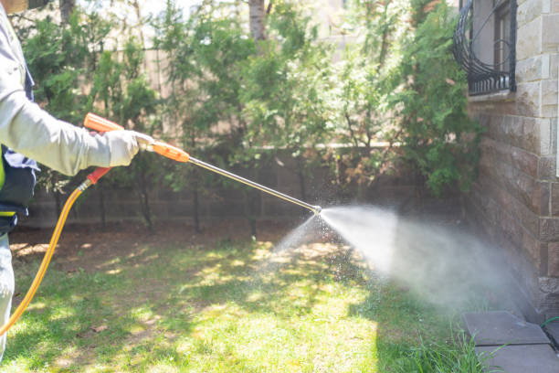 Best Wasp Removal Services  in Cedar Springs, MI