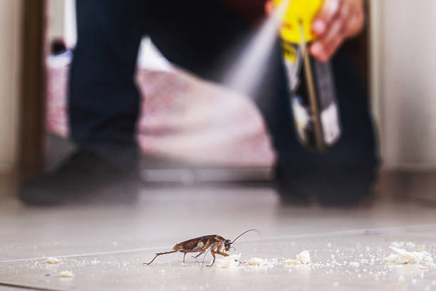 Best Rodent Control Near Me  in Cedar Springs, MI