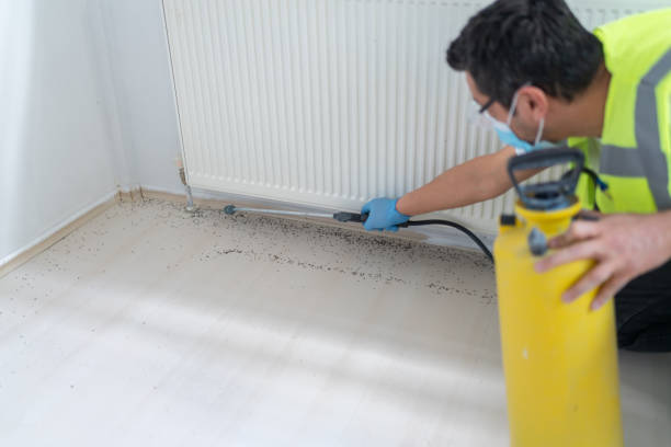 Best Mosquito Control Services  in Cedar Springs, MI
